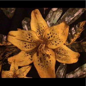 Meet your Posher, Tonya